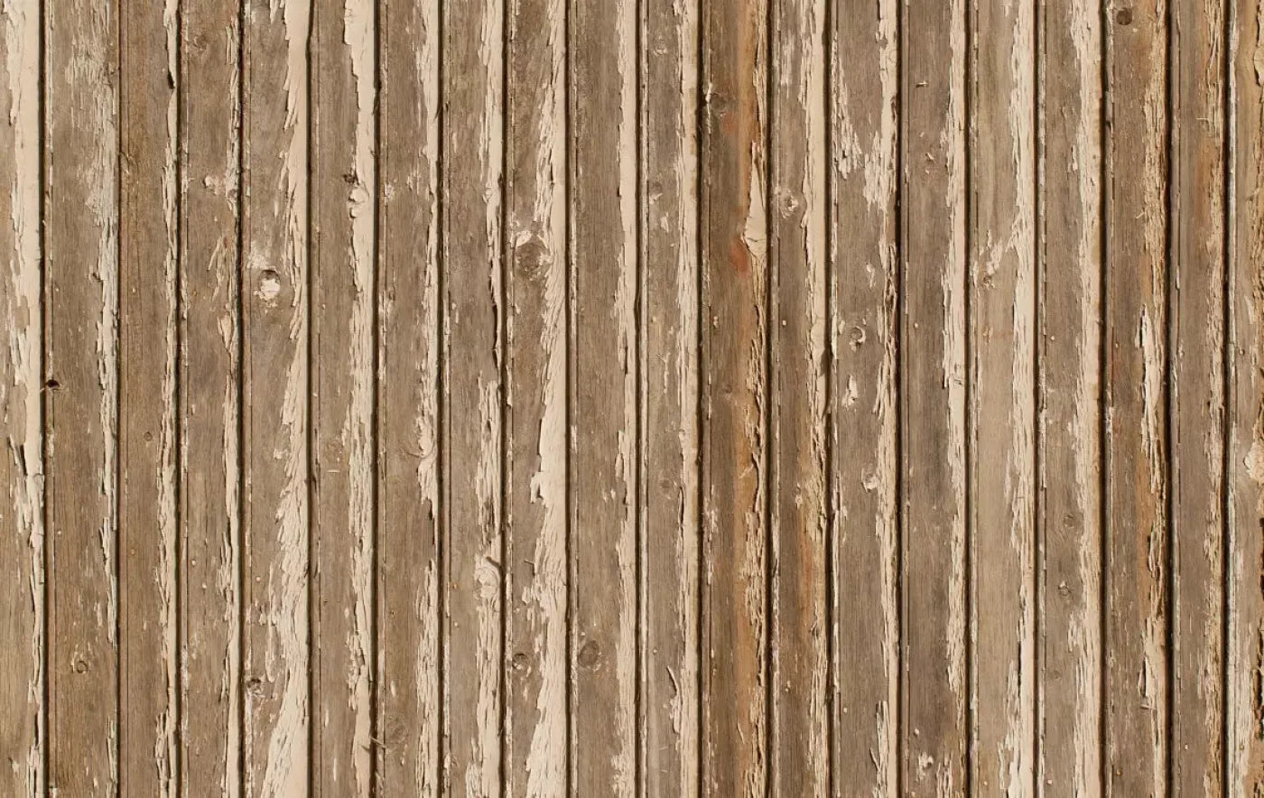 Norbert 16X10 Ultracloth ( 192 X 120 Inch ) Backdrop