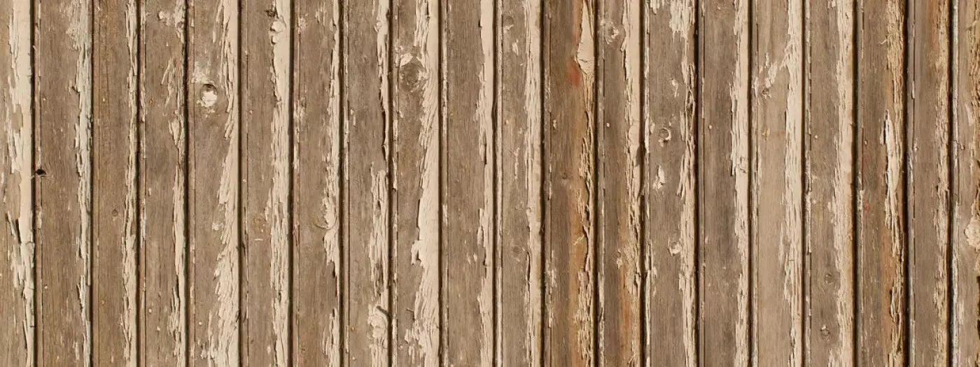 Norbert 20X8 Ultracloth ( 240 X 96 Inch ) Backdrop