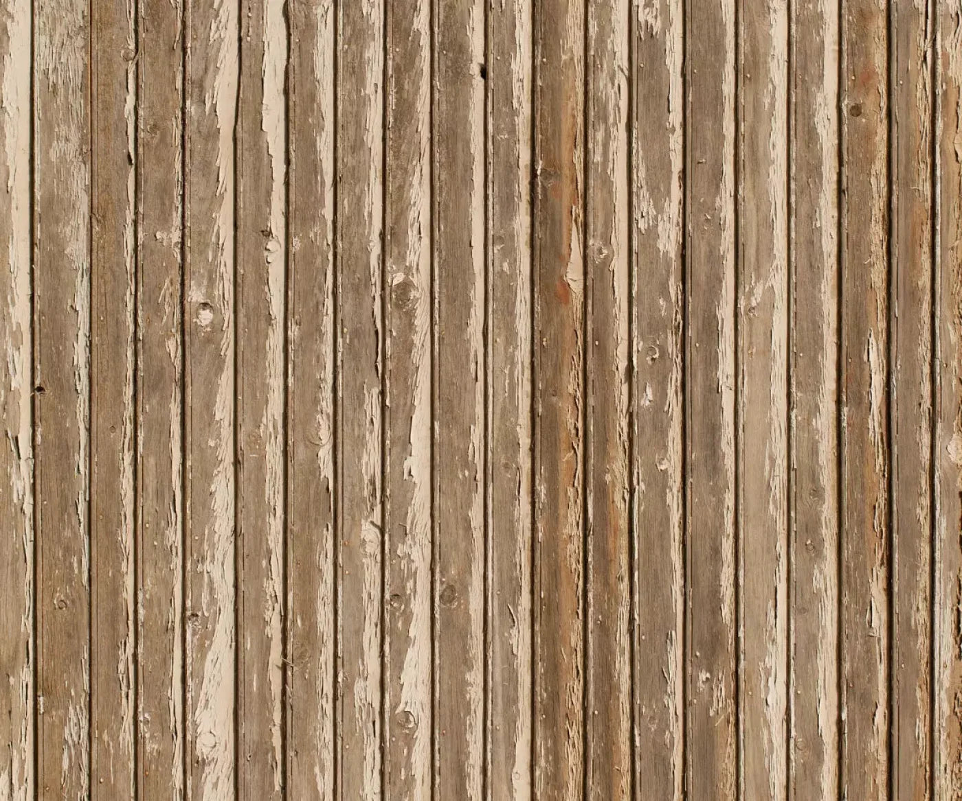 Norbert 5X42 Fleece ( 60 X 50 Inch ) Backdrop