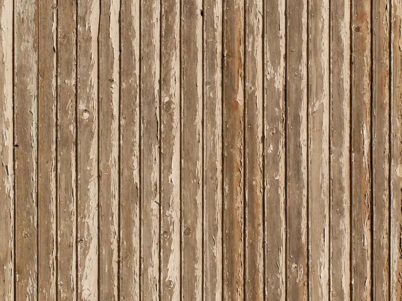 Norbert 68X5 Fleece ( 80 X 60 Inch ) Backdrop