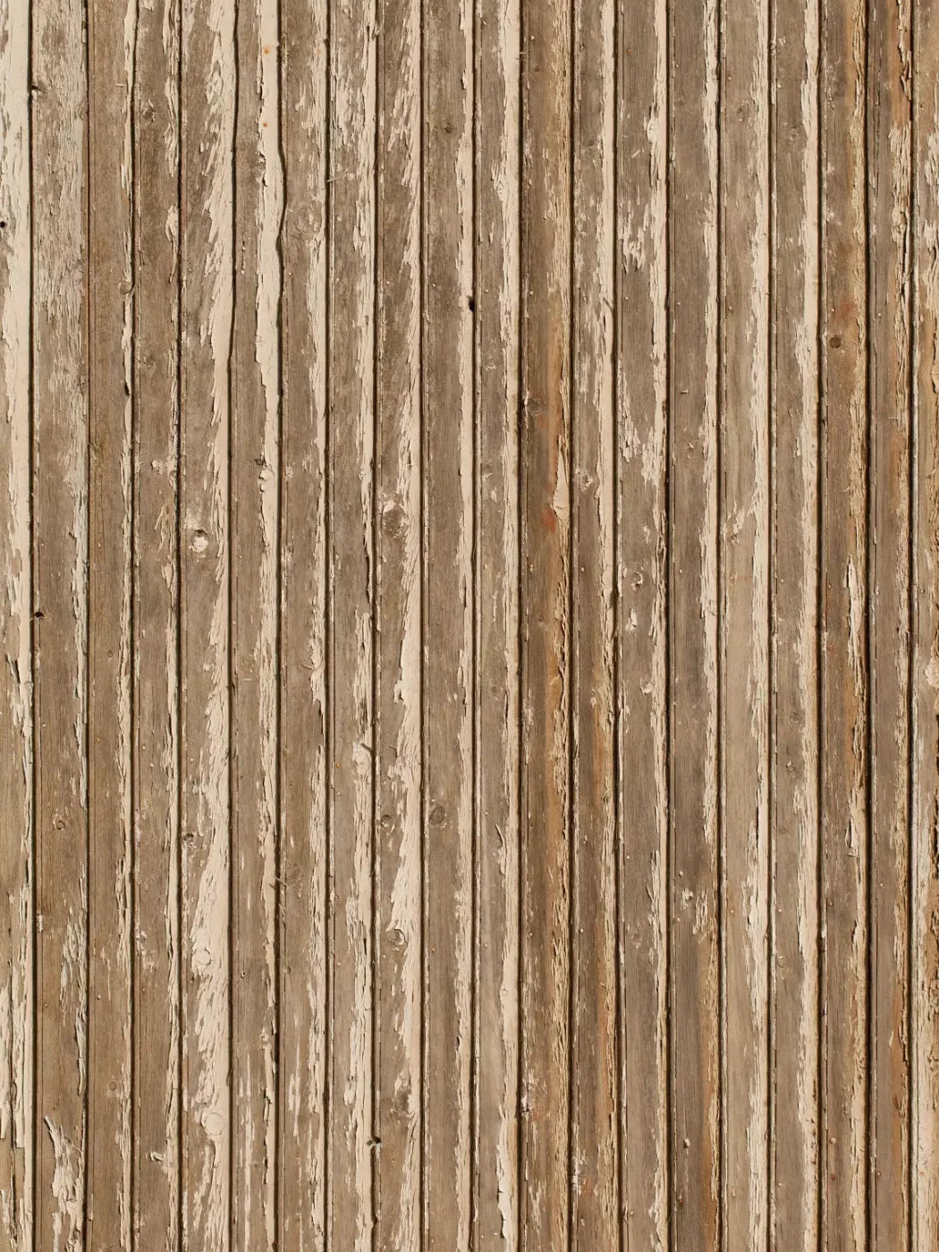 Norbert 8X10 Fleece ( 96 X 120 Inch ) Backdrop