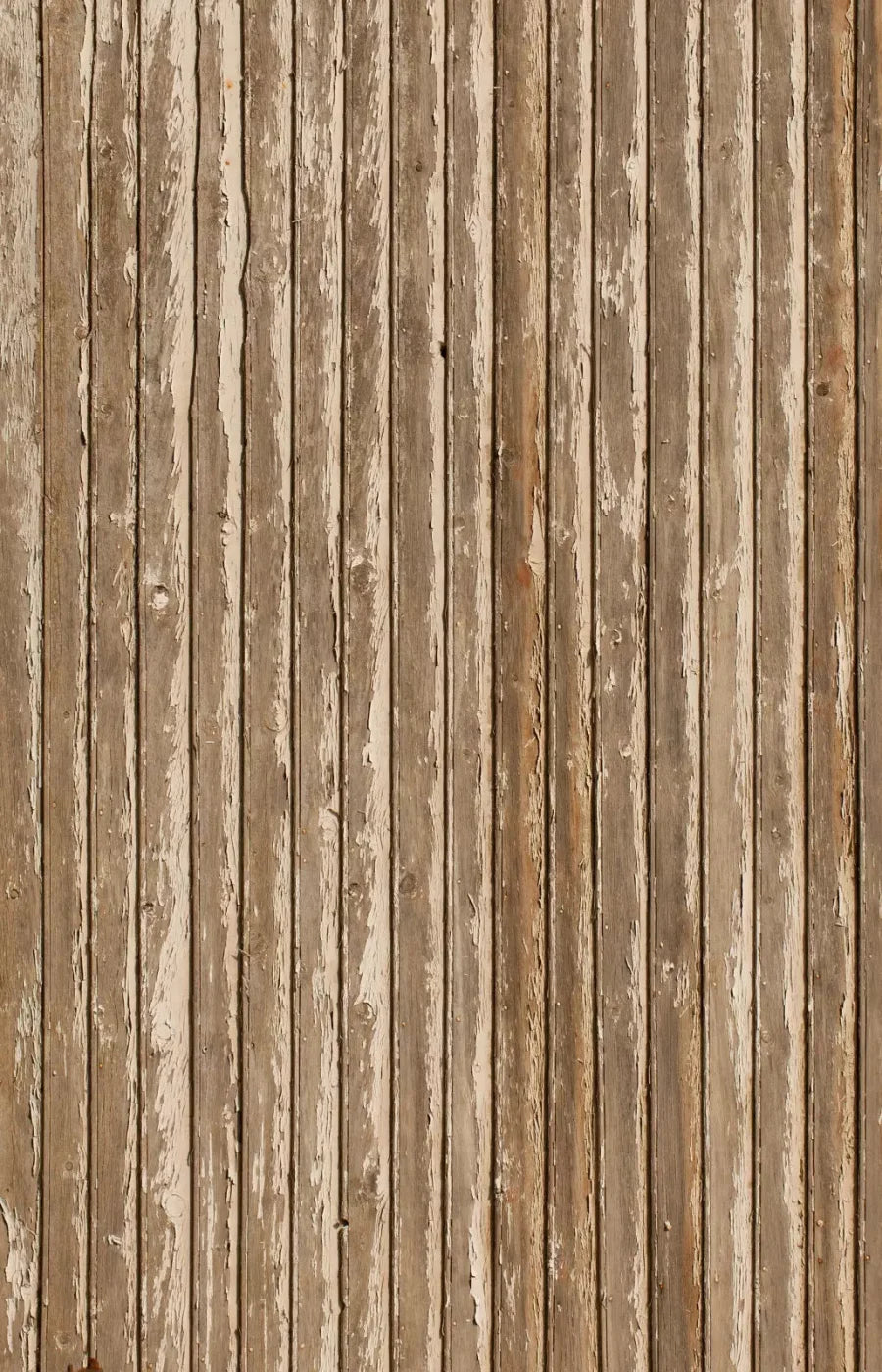 Norbert 8X12 Ultracloth ( 96 X 144 Inch ) Backdrop