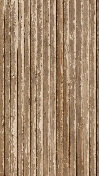 Norbert 8X14 Ultracloth ( 96 X 168 Inch ) Backdrop