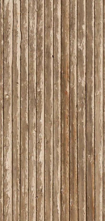 Norbert 8X16 Ultracloth ( 96 X 192 Inch ) Backdrop