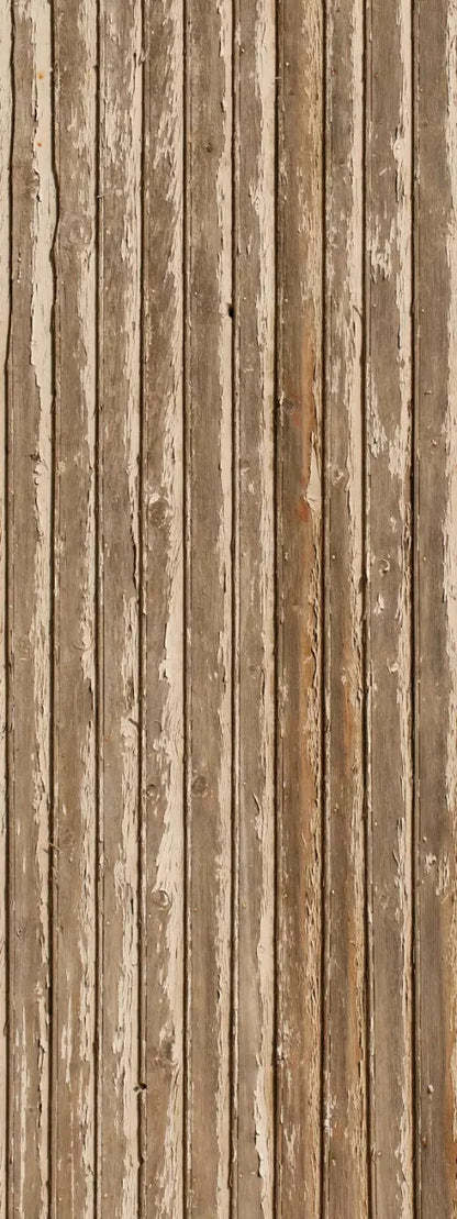 Norbert 8X20 Ultracloth ( 96 X 240 Inch ) Backdrop