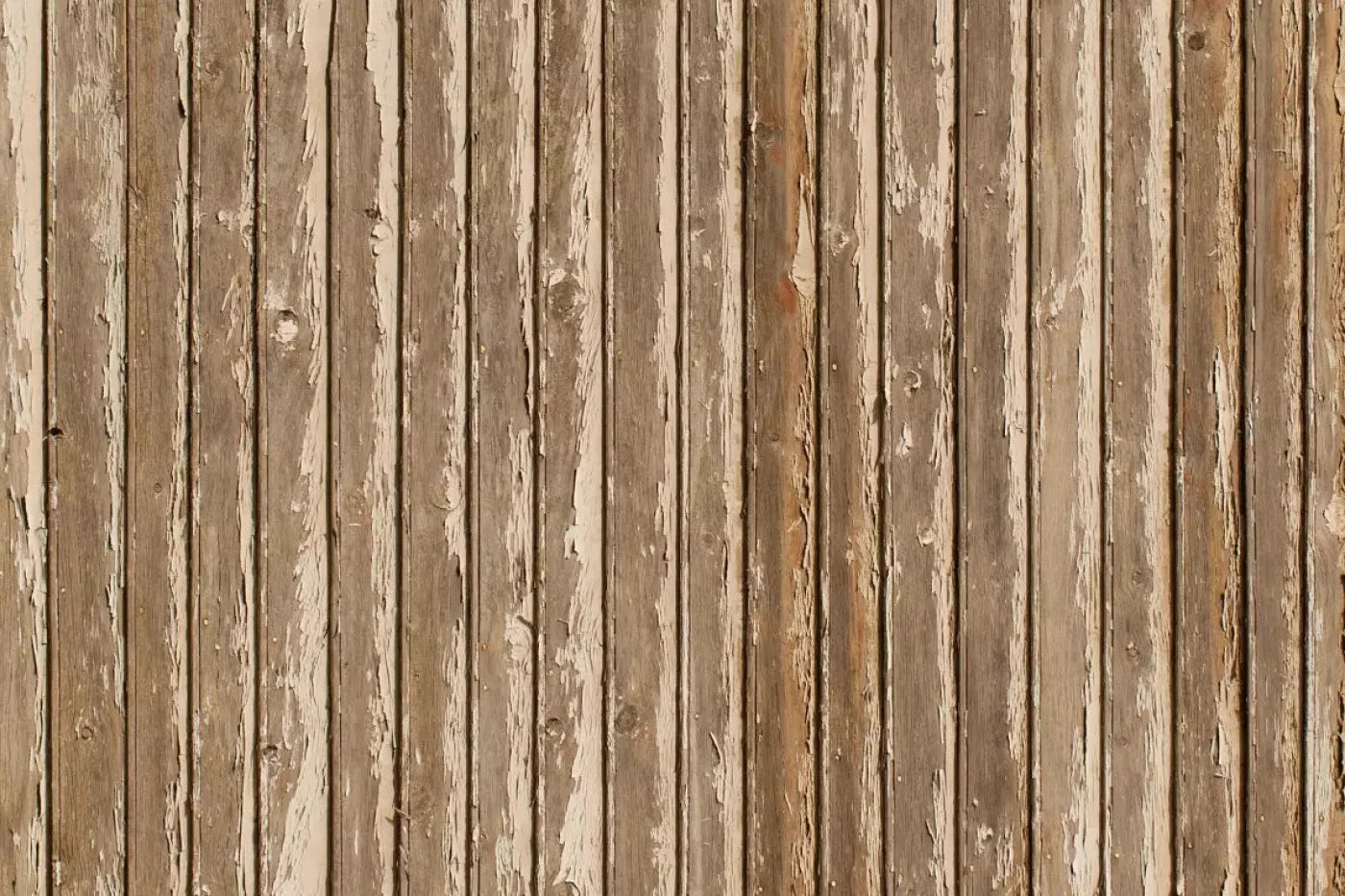 Norbert 8X5 Ultracloth ( 96 X 60 Inch ) Backdrop