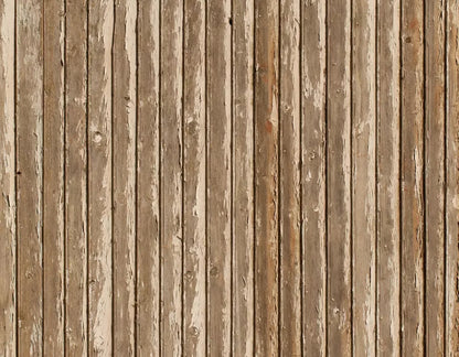 Norbert 8X6 Fleece ( 96 X 72 Inch ) Backdrop