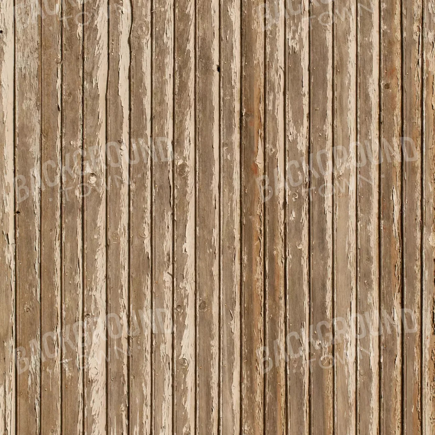 Norbert 8X8 Fleece ( 96 X Inch ) Backdrop