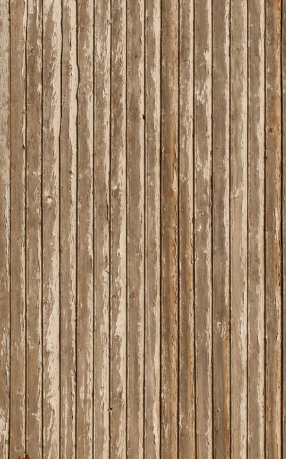 Norbert 9X14 Ultracloth ( 108 X 168 Inch ) Backdrop