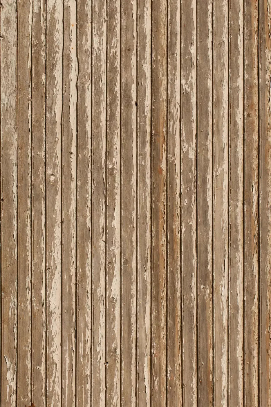 Norbert Backdrop