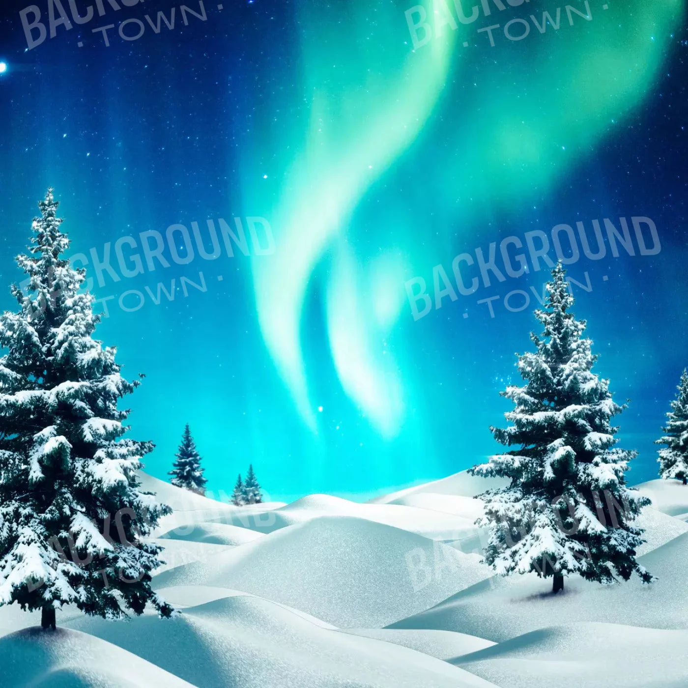 North Pole 10X10 Ultracloth ( 120 X Inch ) Backdrop