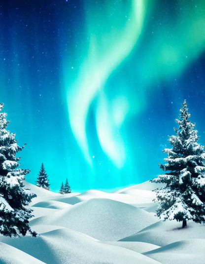 North Pole 6X8 Fleece ( 72 X 96 Inch ) Backdrop