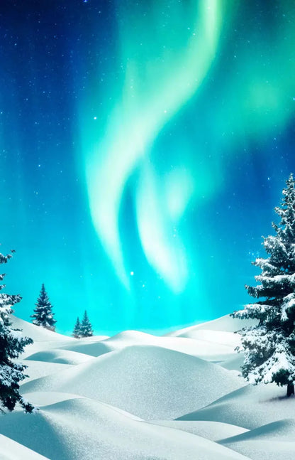 North Pole 8X12 Ultracloth ( 96 X 144 Inch ) Backdrop