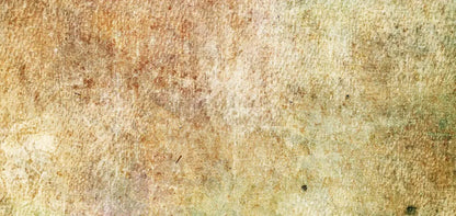 Obscure 16X8 Ultracloth ( 192 X 96 Inch ) Backdrop