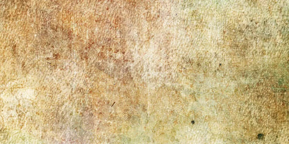 Obscure 20X10 Ultracloth ( 240 X 120 Inch ) Backdrop