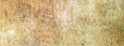 Obscure 20X8 Ultracloth ( 240 X 96 Inch ) Backdrop