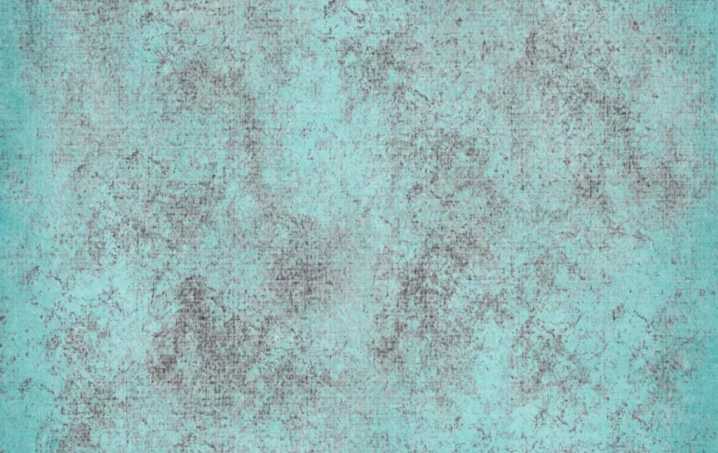Odin 16X10 Ultracloth ( 192 X 120 Inch ) Backdrop