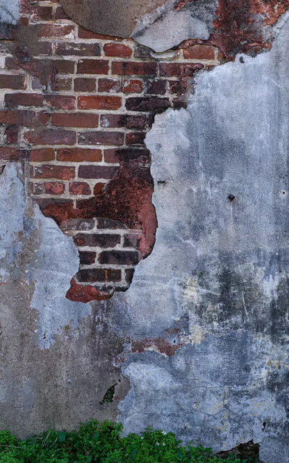 Old Brick Wall 9X14 Ultracloth ( 108 X 168 Inch ) Backdrop