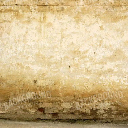 Old Stucco 10X10 Ultracloth ( 120 X Inch ) Backdrop