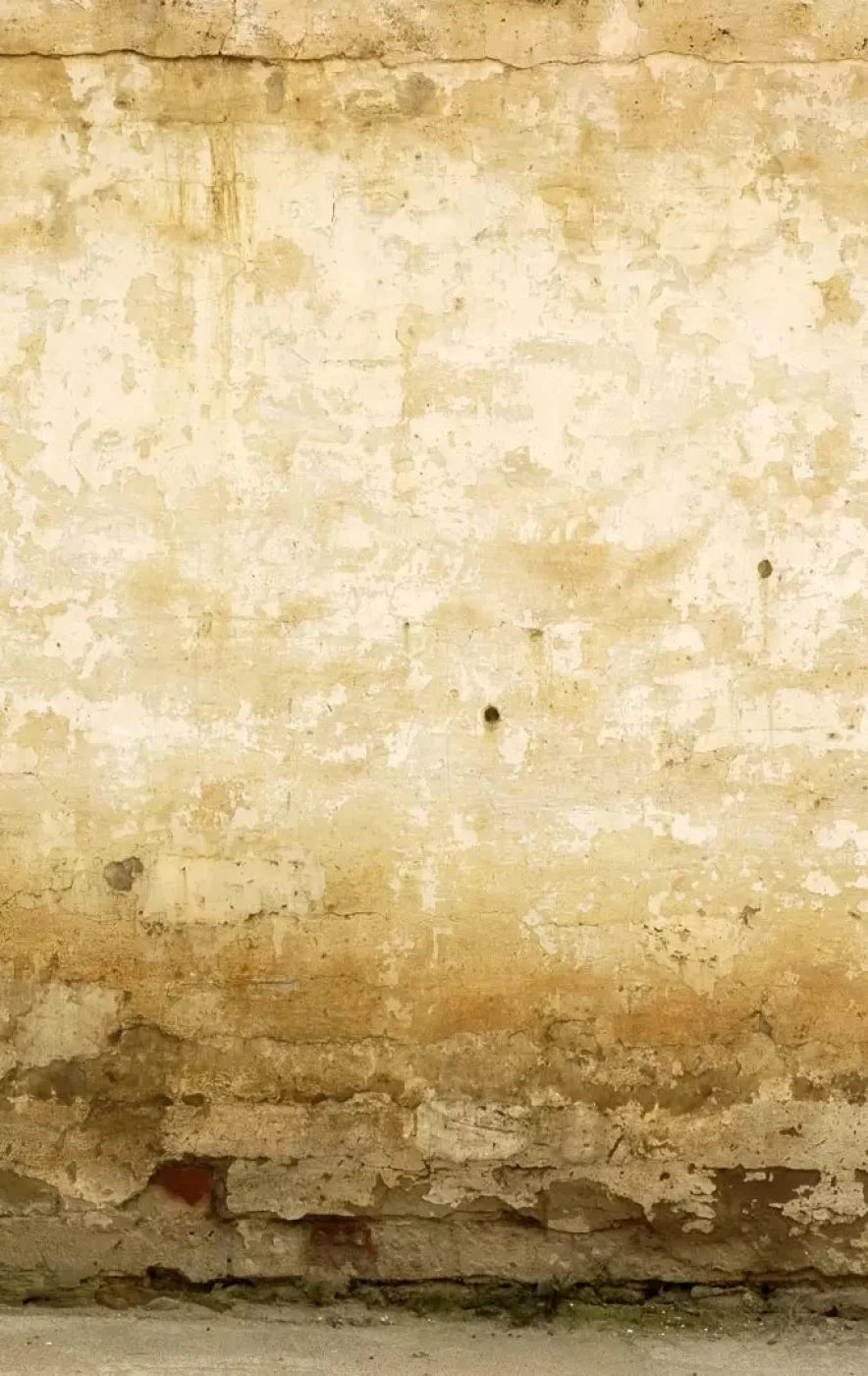 Old Stucco 10X16 Ultracloth ( 120 X 192 Inch ) Backdrop
