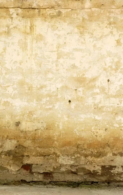Old Stucco 10X16 Ultracloth ( 120 X 192 Inch ) Backdrop