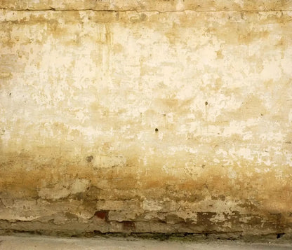 Old Stucco 12X10 Ultracloth ( 144 X 120 Inch ) Backdrop