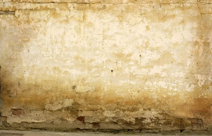 Old Stucco 12X8 Ultracloth ( 144 X 96 Inch ) Backdrop