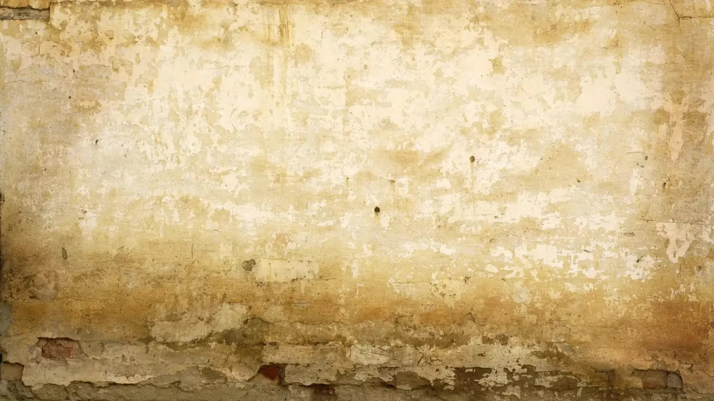Old Stucco 14X8 Ultracloth ( 168 X 96 Inch ) Backdrop