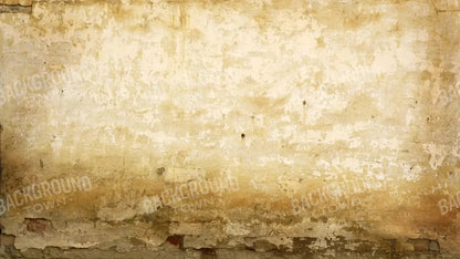 Old Stucco 14X8 Ultracloth ( 168 X 96 Inch ) Backdrop