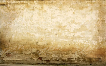 Old Stucco 14X9 Ultracloth ( 168 X 108 Inch ) Backdrop