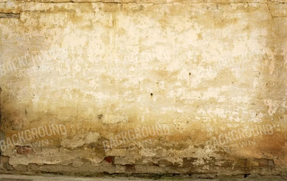 Old Stucco 16X10 Ultracloth ( 192 X 120 Inch ) Backdrop