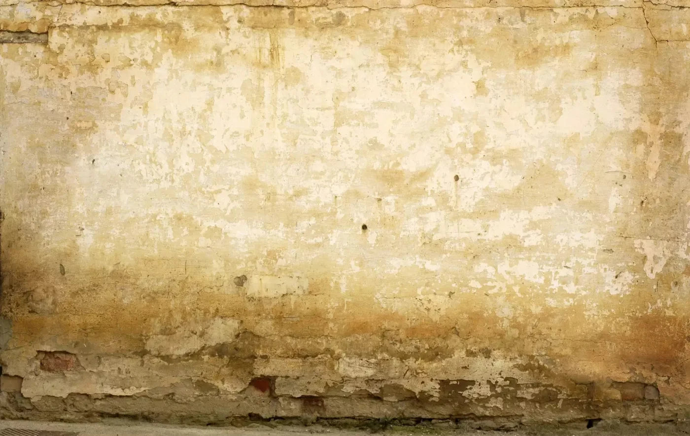 Old Stucco 16X10 Ultracloth ( 192 X 120 Inch ) Backdrop