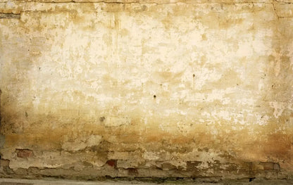 Old Stucco 16X10 Ultracloth ( 192 X 120 Inch ) Backdrop