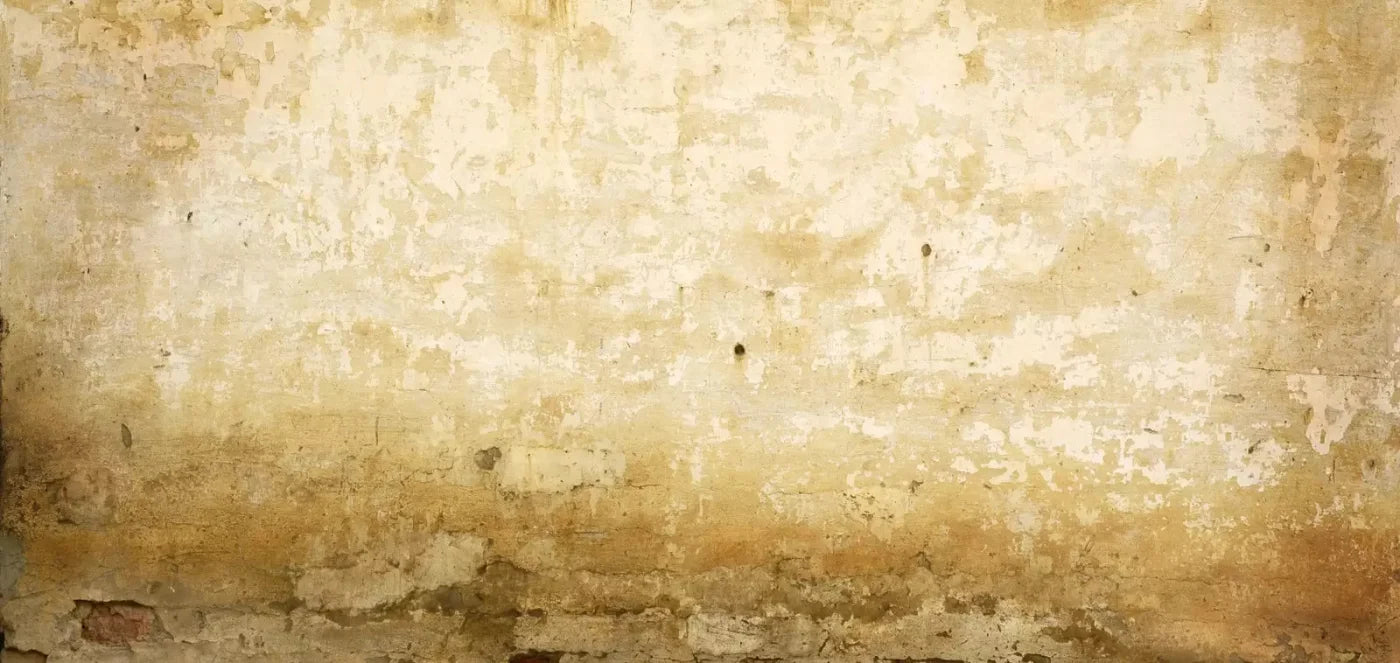 Old Stucco 16X8 Ultracloth ( 192 X 96 Inch ) Backdrop