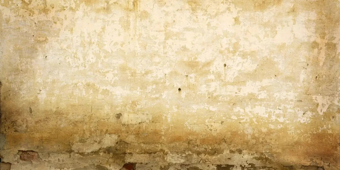 Old Stucco 20X10 Ultracloth ( 240 X 120 Inch ) Backdrop