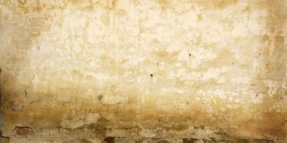 Old Stucco 20X10 Ultracloth ( 240 X 120 Inch ) Backdrop