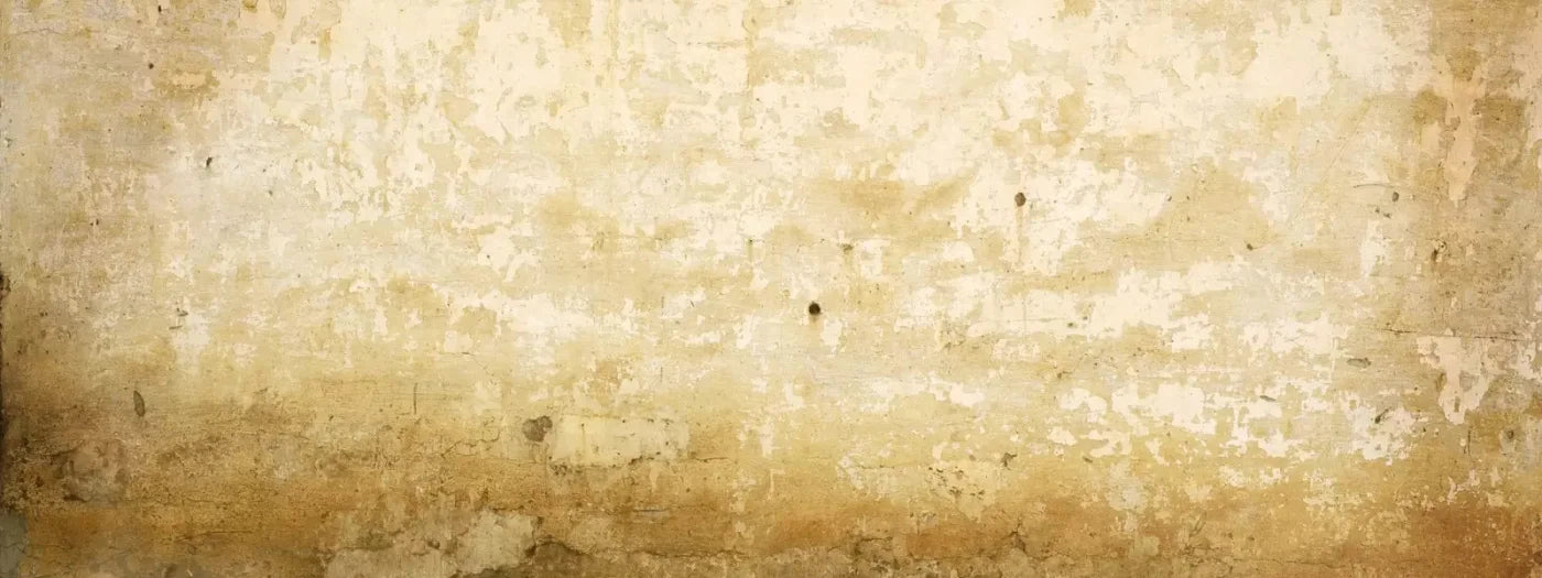 Old Stucco 20X8 Ultracloth ( 240 X 96 Inch ) Backdrop