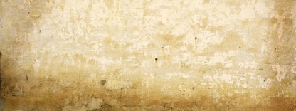 Old Stucco 20X8 Ultracloth ( 240 X 96 Inch ) Backdrop