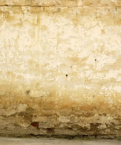 Beige Brick and Stone Backdrop for Photography