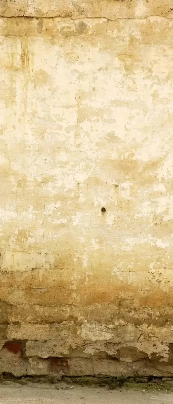 Old Stucco 5X12 Ultracloth For Westcott X-Drop ( 60 X 144 Inch ) Backdrop