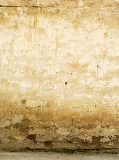 Old Stucco 8X10 Fleece ( 96 X 120 Inch ) Backdrop
