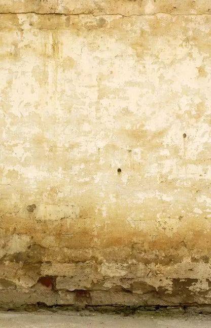 Old Stucco 8X12 Ultracloth ( 96 X 144 Inch ) Backdrop