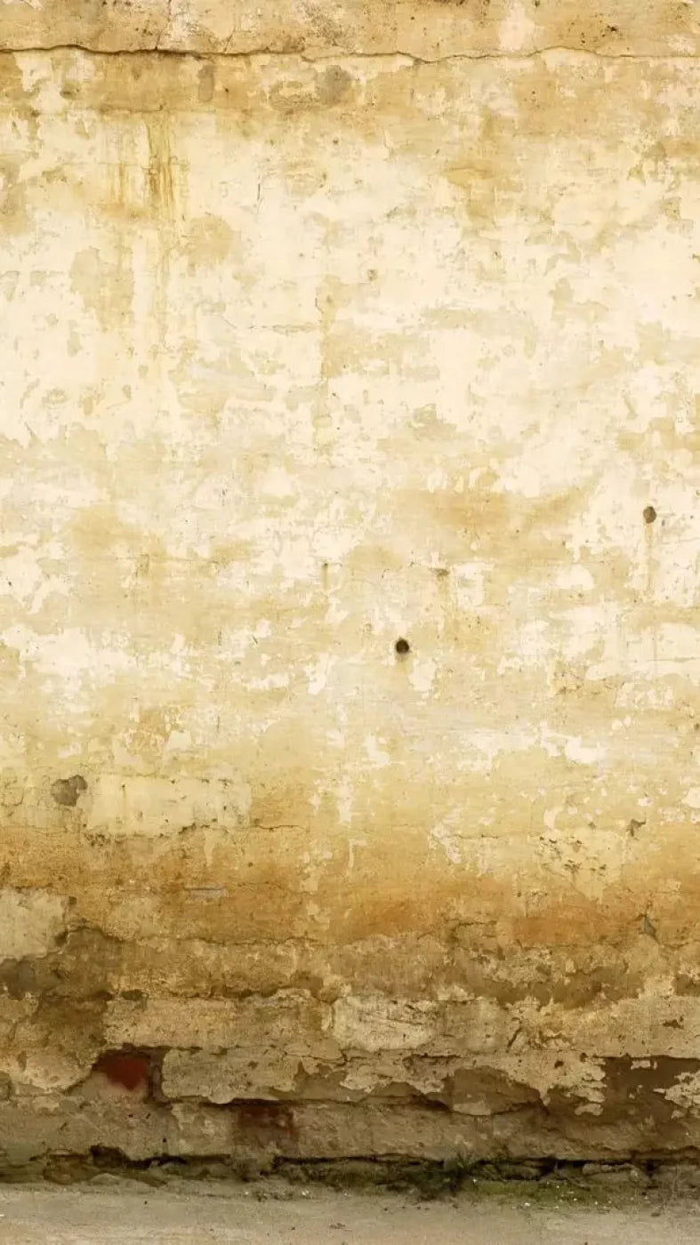 Old Stucco 8X14 Ultracloth ( 96 X 168 Inch ) Backdrop