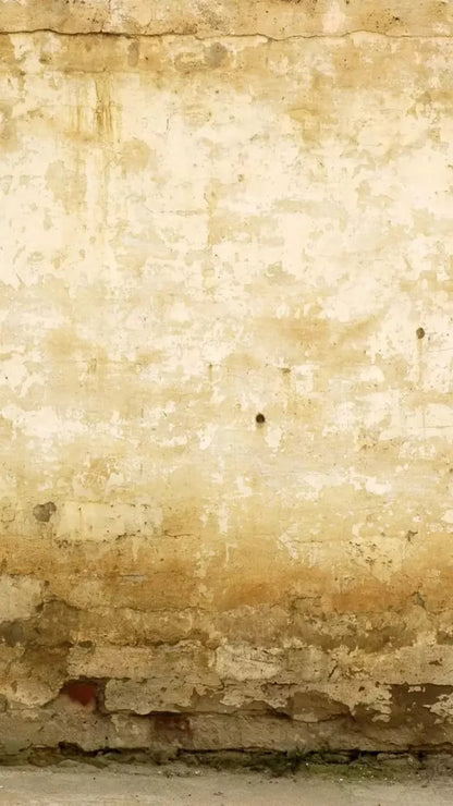 Old Stucco 8X14 Ultracloth ( 96 X 168 Inch ) Backdrop