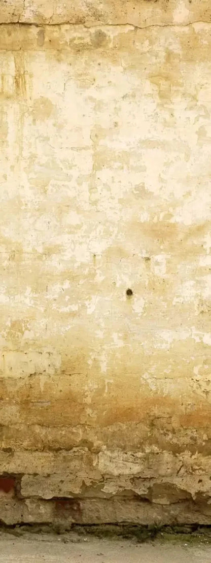 Old Stucco 8X20 Ultracloth ( 96 X 240 Inch ) Backdrop