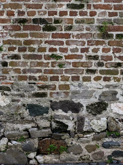 Old World Brickwork 8X10 Fleece ( 96 X 120 Inch ) Backdrop