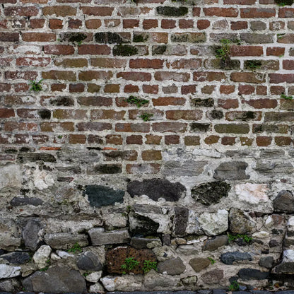 Old World Brickwork 8X8 Fleece ( 96 X Inch ) Backdrop