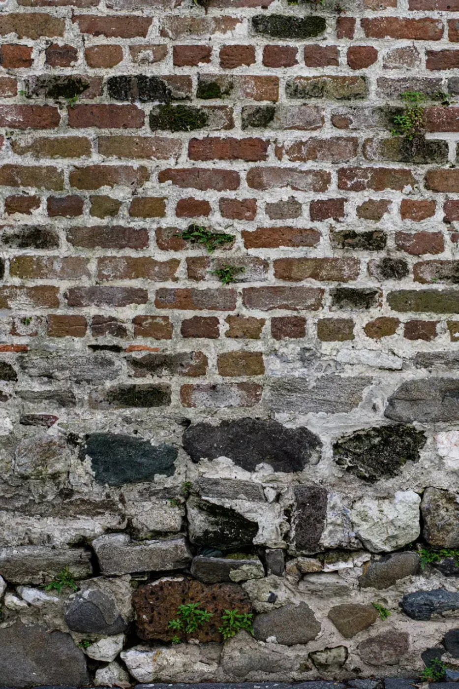 Old World Brickwork Backdrop