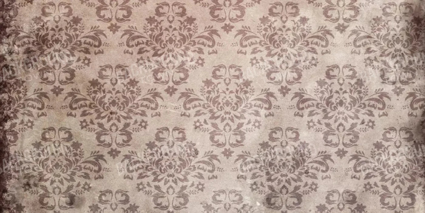 Oldie 20X10 Ultracloth ( 240 X 120 Inch ) Backdrop