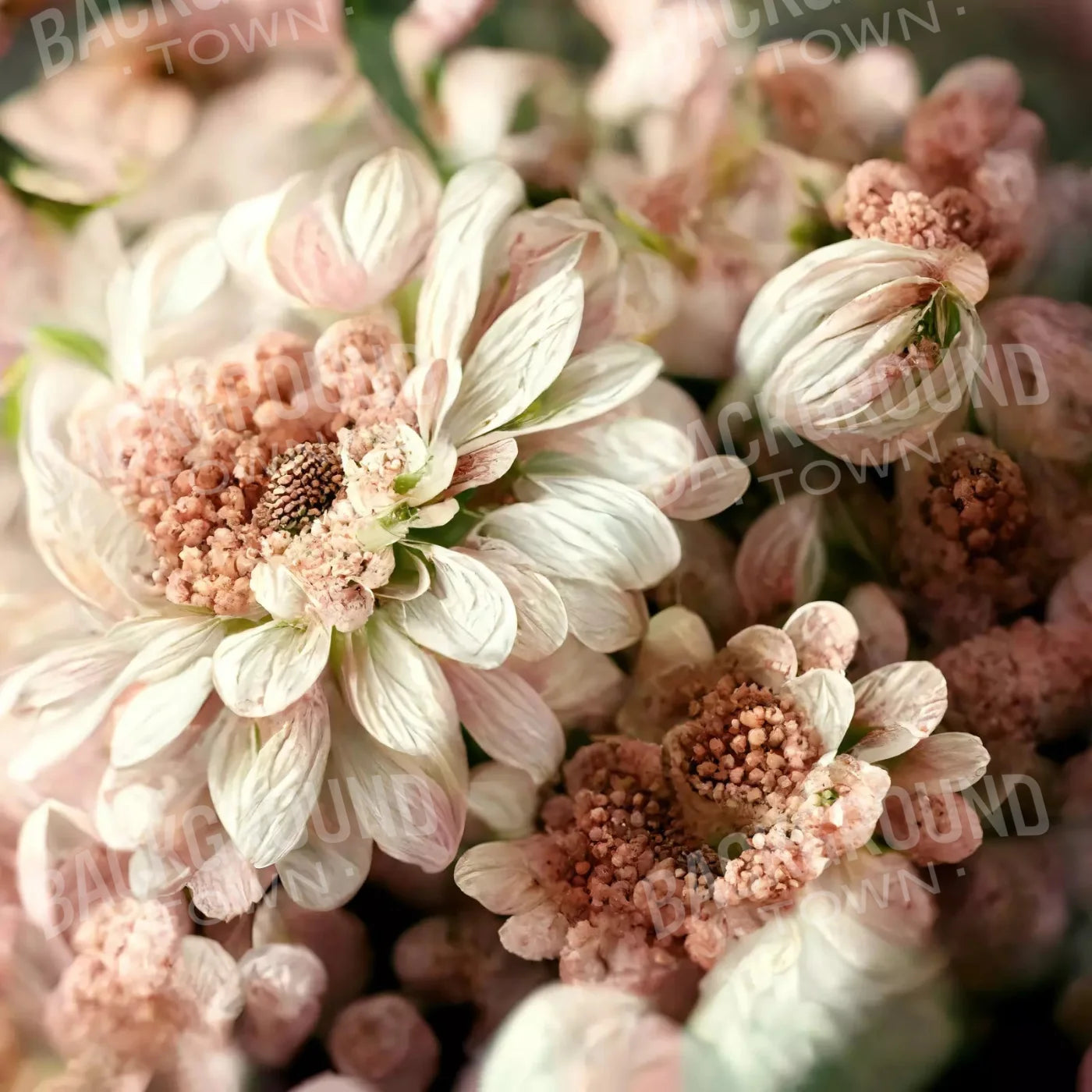 Pink Floral Backdrop for Photography